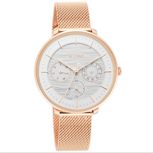 Workwear Silver Dial Rose Gold Stainless Steel Strap Watch-Titan-Albatel